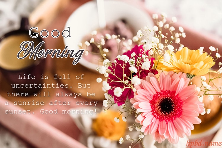 Best Good Morning Flowers Greeting Cards Images