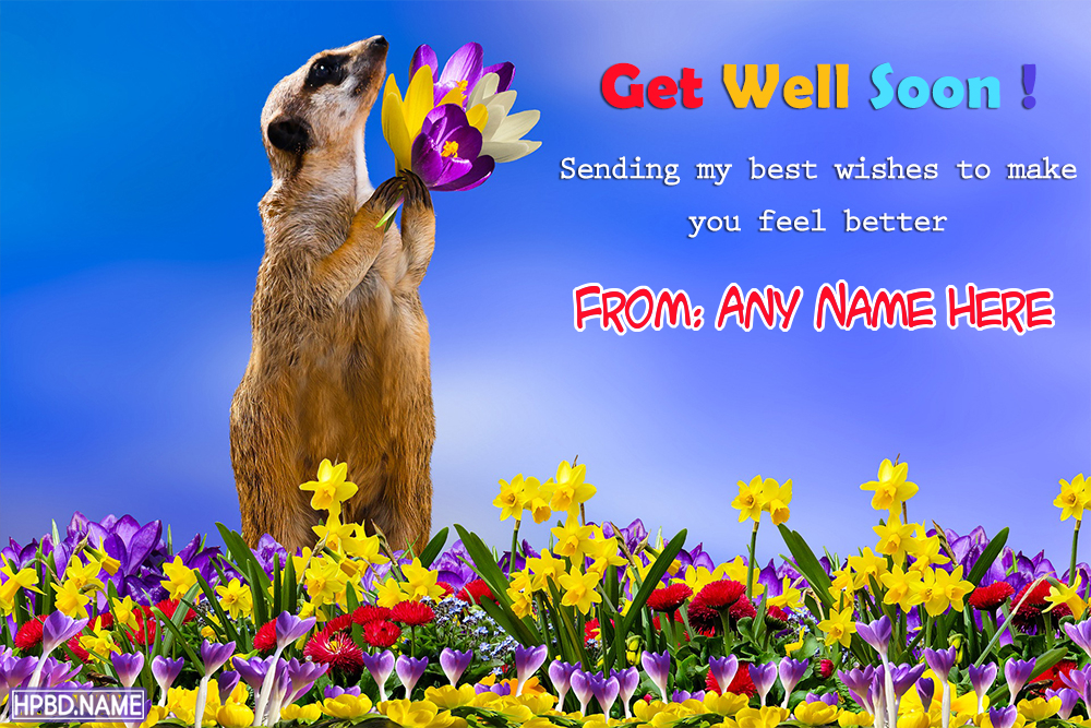 Funny Get Well Soon Wishes Cards With Name Edit